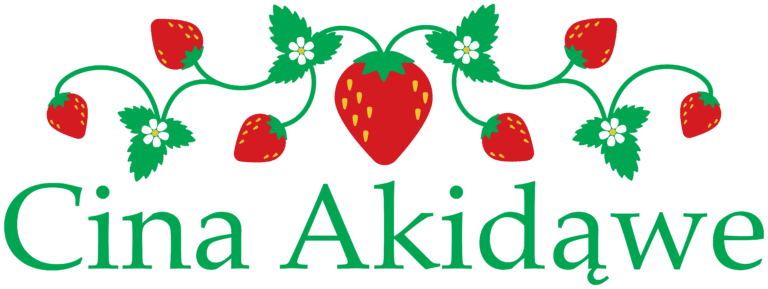 Cina Akidawe logo