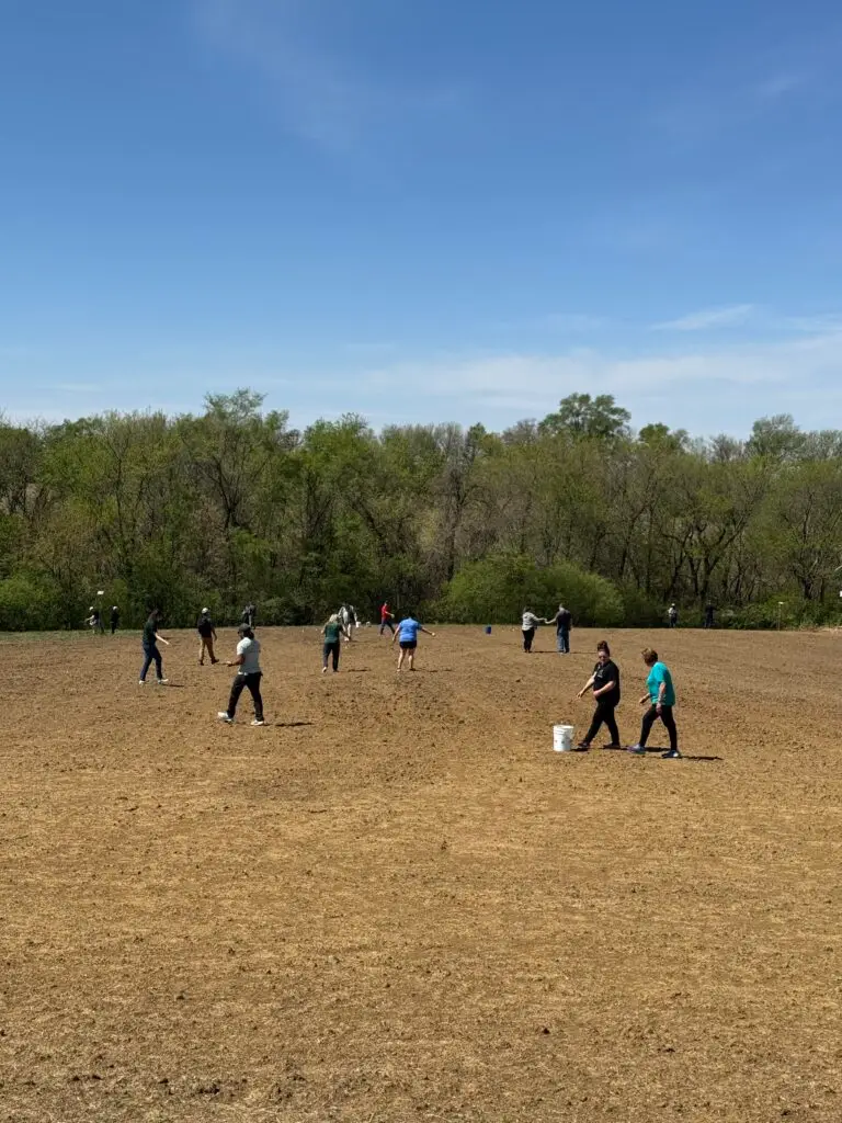 Members of the Ioway Community, including Tribal members and employees, take part in hand-spreading seed.