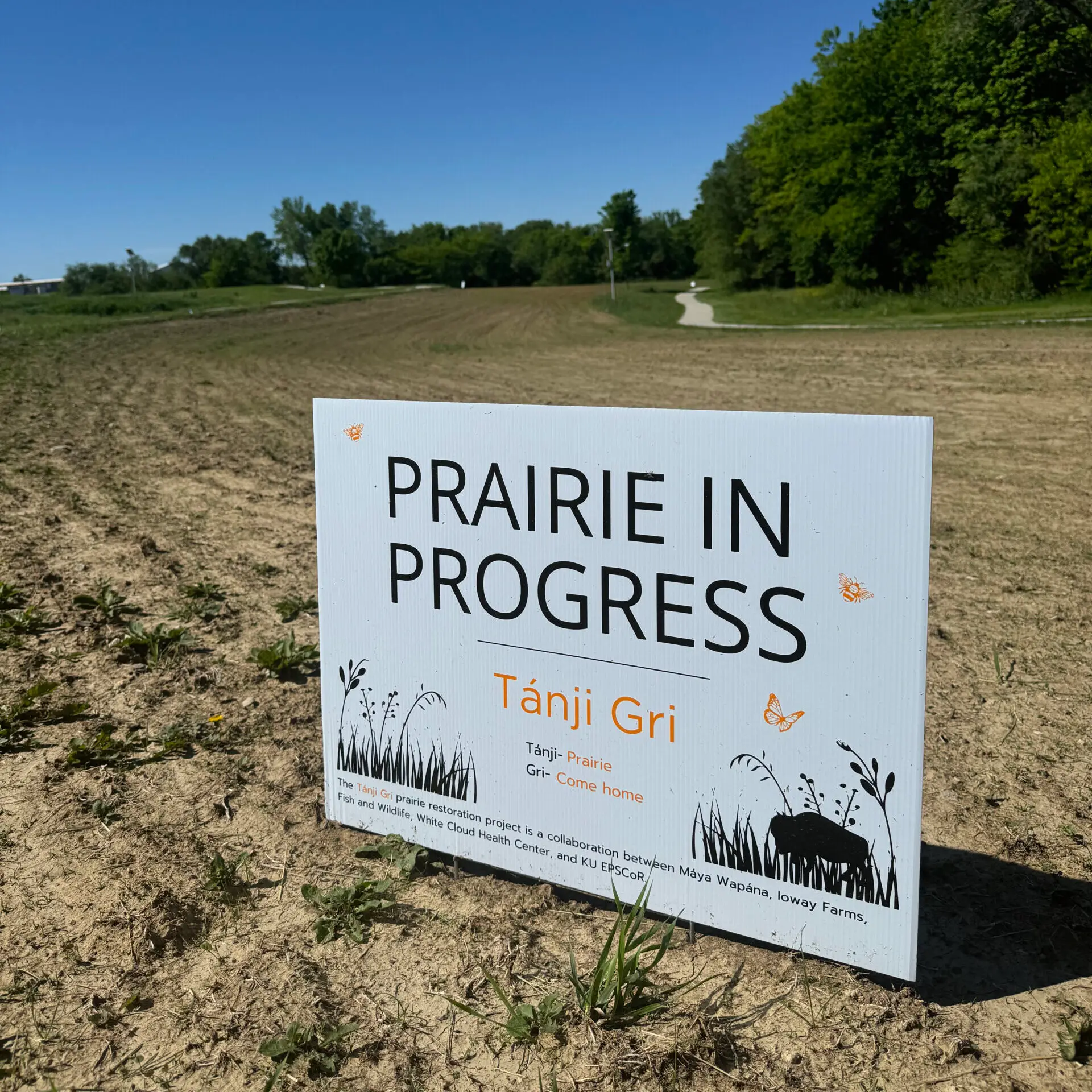 A white sign with the words "PRAIRIE IN PROGRESS Tánji Gri" with a brown field with little growth in the background